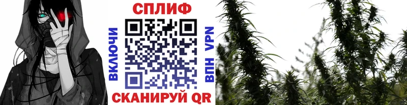 Купить Амфетамин  Меф мяу мяу  Alpha PVP  ГАШИШ  Каннабис  Мамадыш