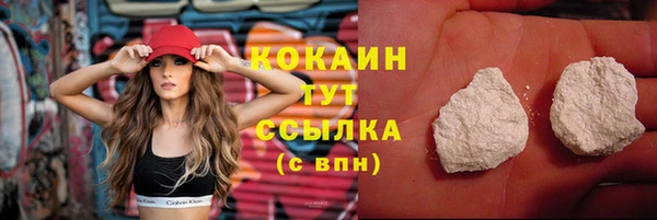 мет Арсеньев