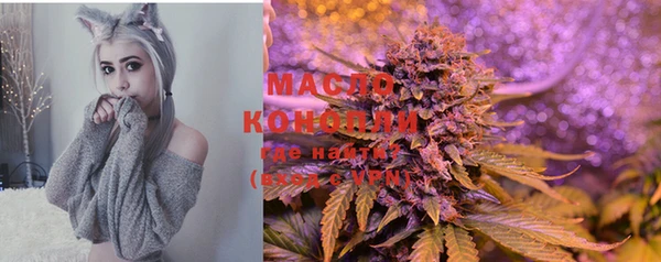 мет Арсеньев