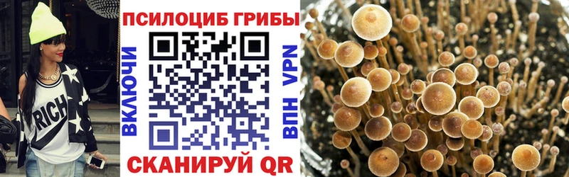 Купить  Мамадыш  Галлюциногенные грибы мицелий 